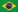 Portuguese (Brazil) flag