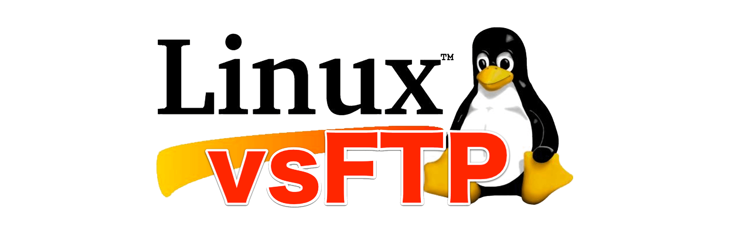VS-ftpd FTP