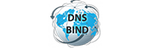 Bind DNS Server