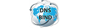 Bind DNS Server