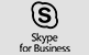 Hosted Skype for Business Panel