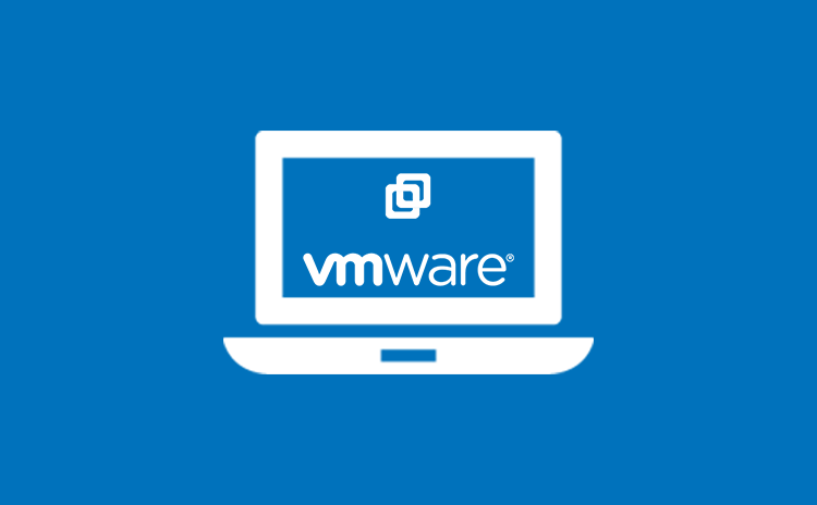 VMware environment